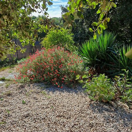 Bed and Breakfast Le Calme De La Garrigue Russan Экстерьер фото
