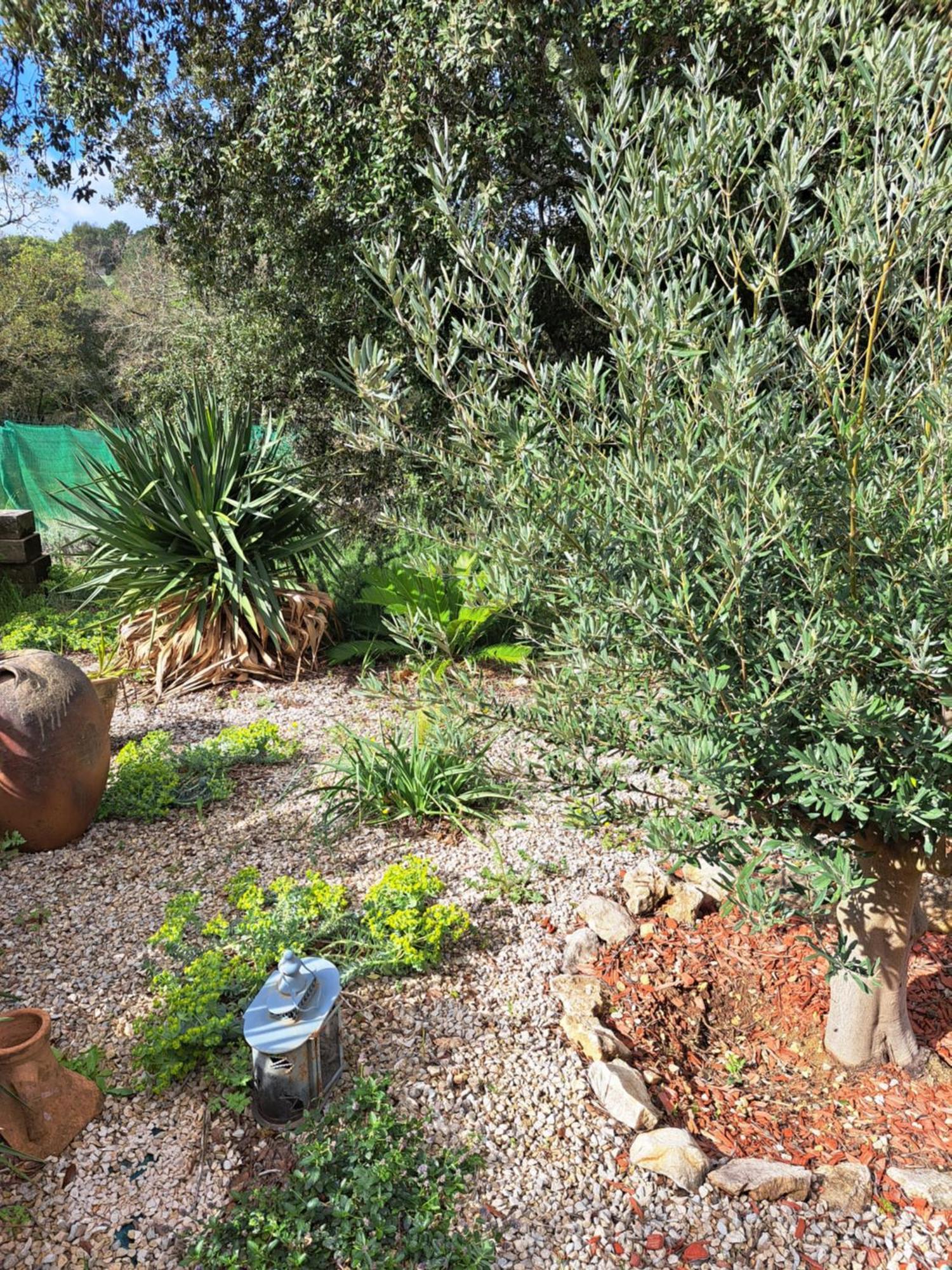 Bed and Breakfast Le Calme De La Garrigue Russan Экстерьер фото