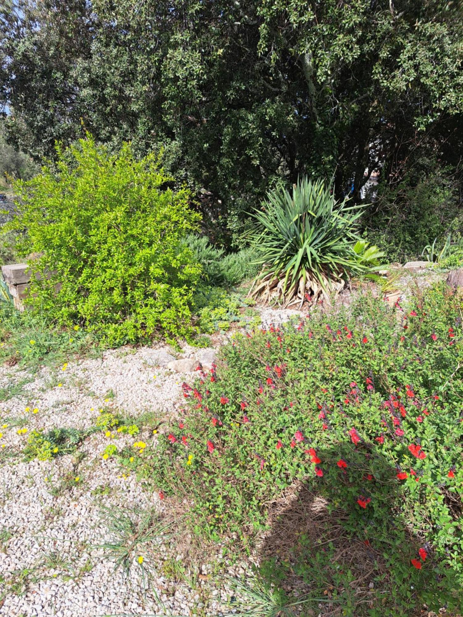 Bed and Breakfast Le Calme De La Garrigue Russan Экстерьер фото