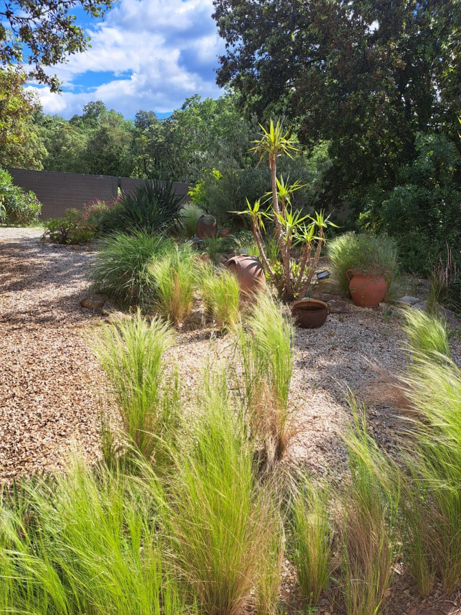 Bed and Breakfast Le Calme De La Garrigue Russan Экстерьер фото
