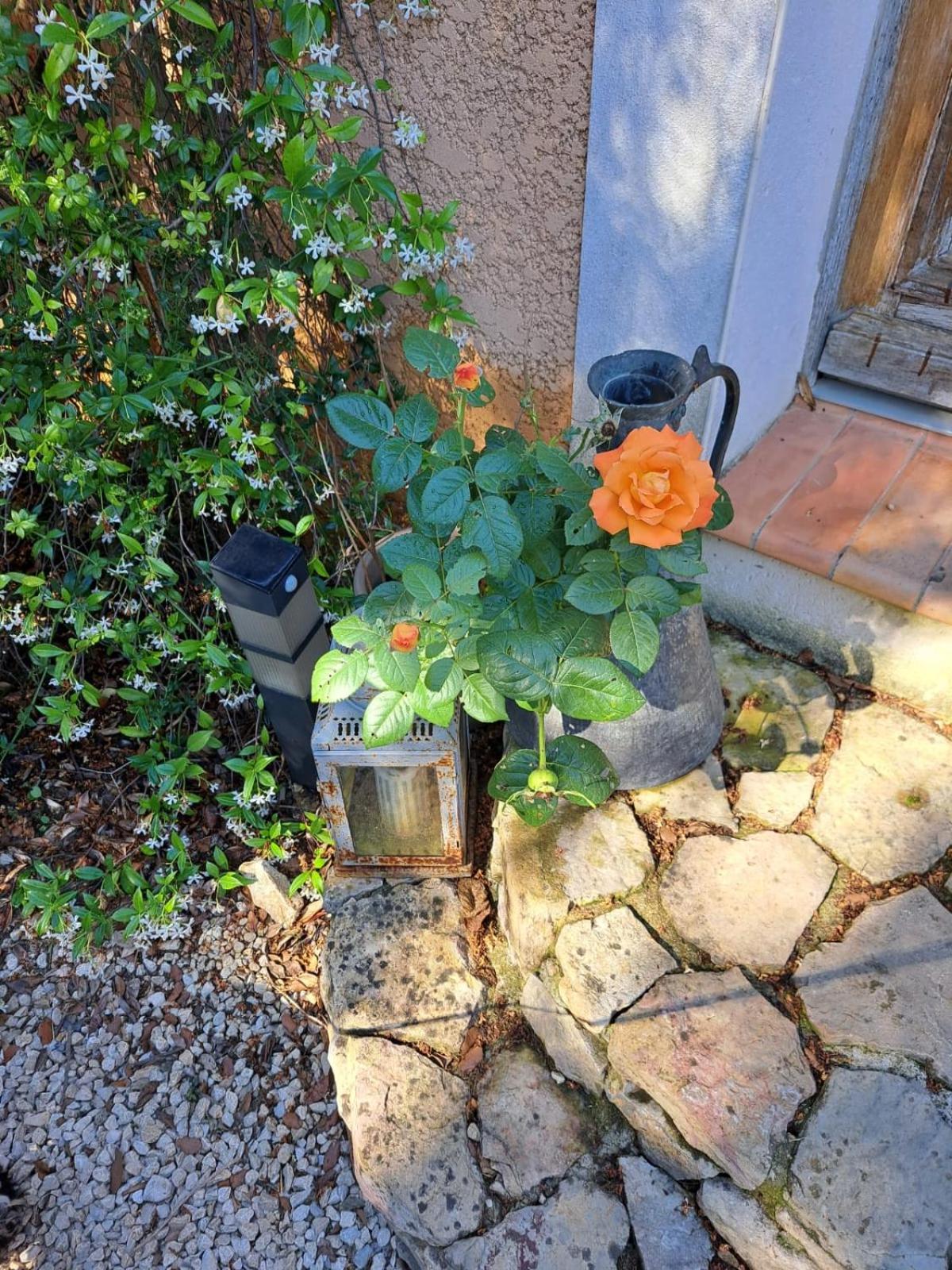 Bed and Breakfast Le Calme De La Garrigue Russan Экстерьер фото