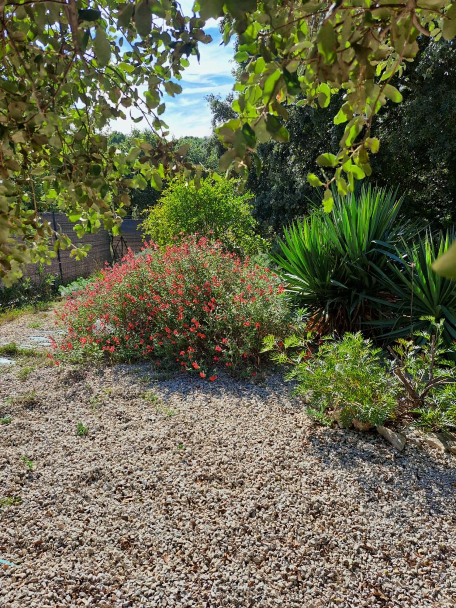 Bed and Breakfast Le Calme De La Garrigue Russan Экстерьер фото