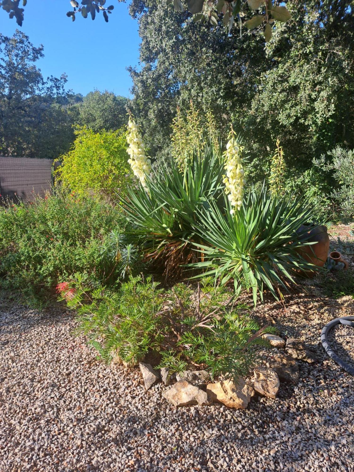 Bed and Breakfast Le Calme De La Garrigue Russan Экстерьер фото